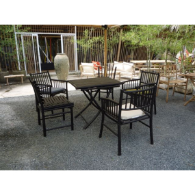 DINING CHAIR & TABLE